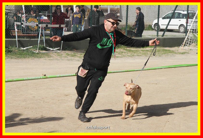 180311 mostra_canina 091.jpg